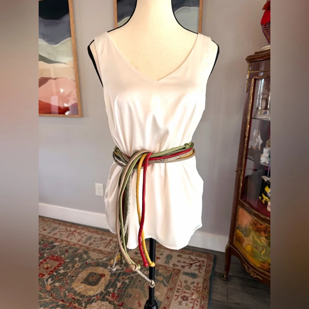 Multicolor Leather Skinny Belt Bundle